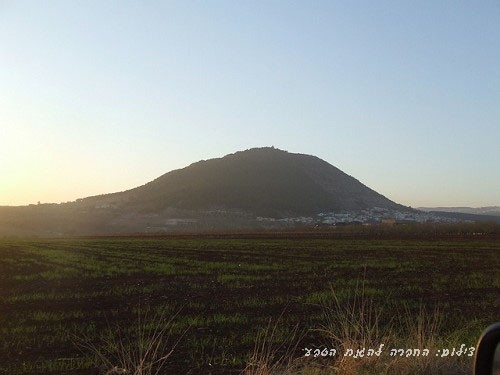 ביס ספר שדה אלון תבור צימרים צימר - ������ �כפר תבור - ������ ����